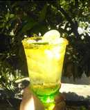 Melon Squash
