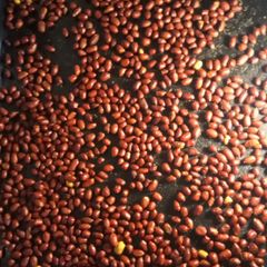 A picture of Roasted Seasoned nuts #Authormarathon.