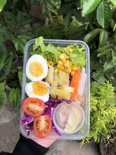 Foto resep Salad Sayur