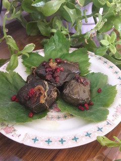 عکسی از دستور دلمه برگ مو