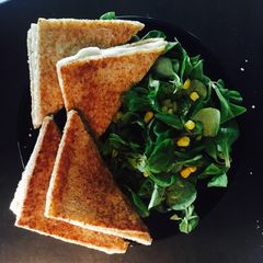 A picture of Erin's Grilled cheese sandwich.
