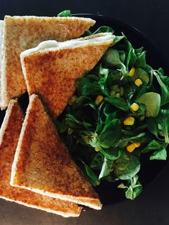 A picture of Erin's Grilled cheese sandwich.
