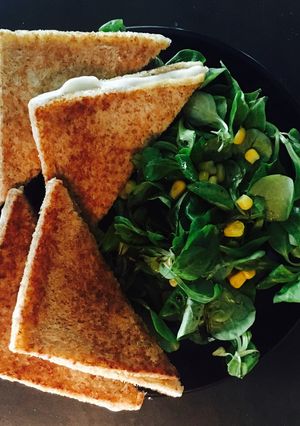 A picture of Erin's Grilled cheese sandwich.