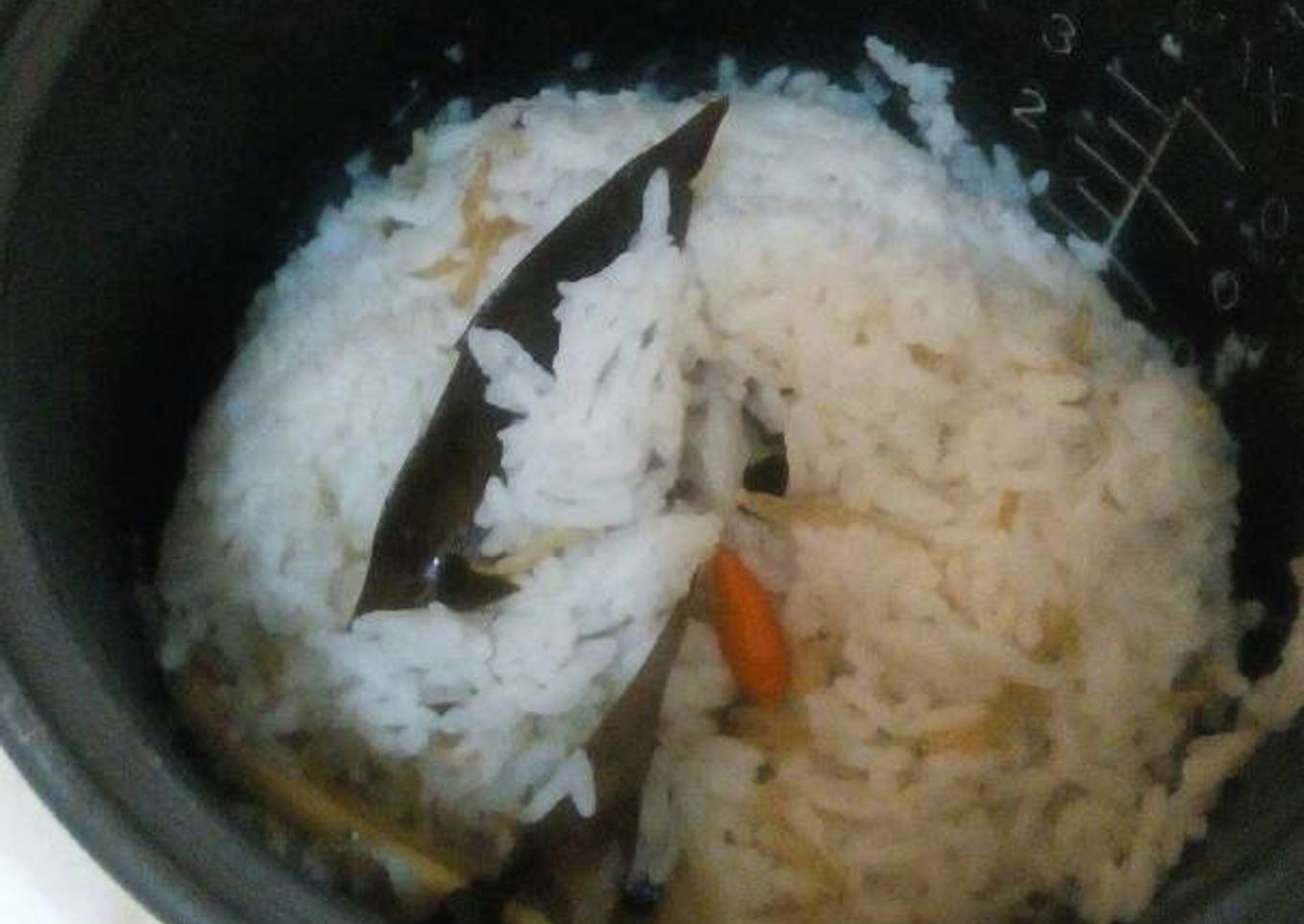 Terry Nasi pot of white rice