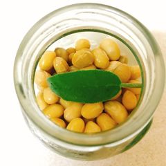 A picture of Natto, fermented soybeans with herbs.