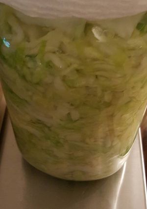 A picture of Homemade saurkraut.