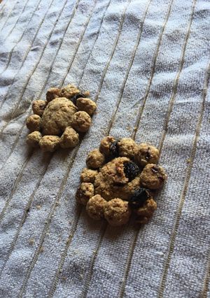 Una foto de Galletas de avena y pasas en 20 m. Tipo frutigram sanas, bajas en grasa, sin tac, sin químicos, etc