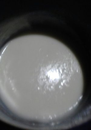 Una foto de Queso "salsa crema" !!