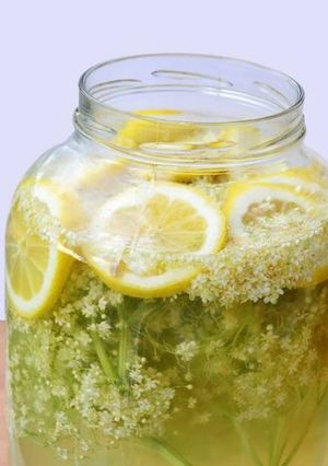 Bodzalé recept fotója
