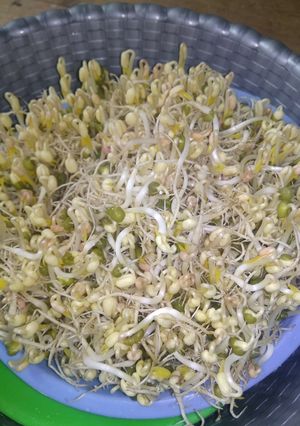 Foto resep Toge/kecambah