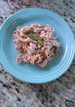 A picture of Ropa Vieja (Shredded Pork or Beef).