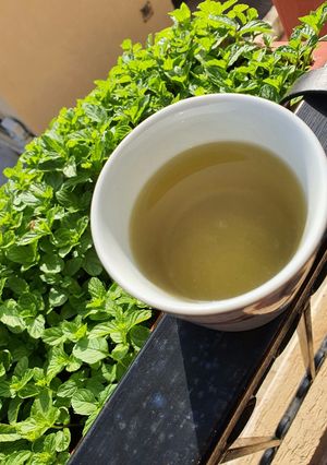 صورة لوصفة مشروب الشاي الاخصر بالنعناع 🌿