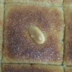 النموره فلسطينيه-レシピのメイン写真