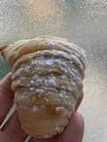 Sfogliatelle Ricce Napoletane