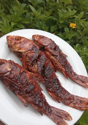 Foto resep Ikan Mas Bakar Teflon