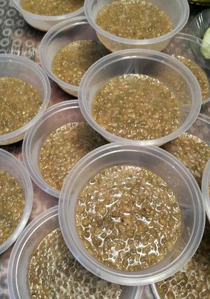 Foto resep Bubur Kacang Hijau