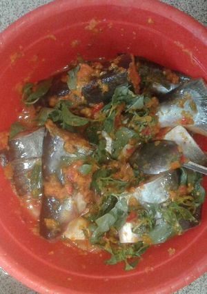 Foto resep Pepes patin bumbu lengkap (kukus & panggang)
