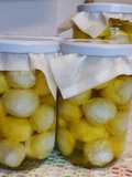 Labneh Balls