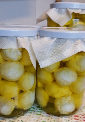 A picture of Labneh Balls.