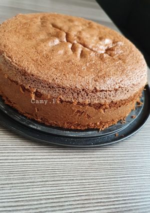 O poză a rețetei Blat de tort cu cacao.