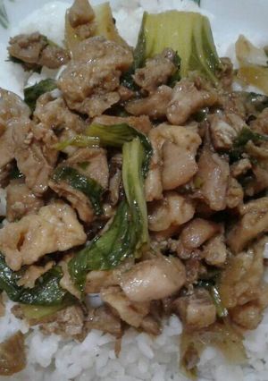 Foto resep Nasi Ayam Sayur