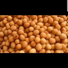 A picture of Coated Peanuts.