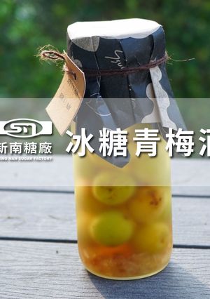 【新南糖廠】冰糖青梅酒 的食譜成品照片