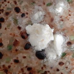 Green garlic paratha A picture of Green garlic paratha.