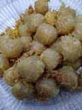 CILOR Aci Telorr