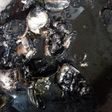 Cumi sotong masak hitam simpel