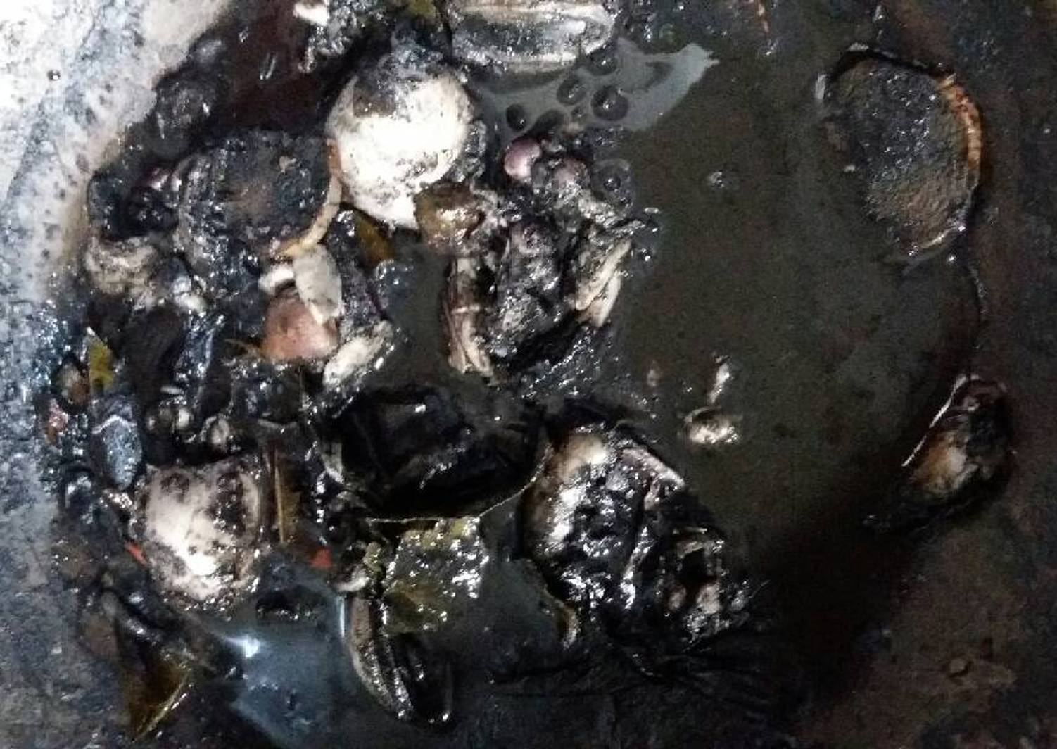 Resep Cumi sotong masak hitam simpel oleh Atika Fitrotun - Cookpad