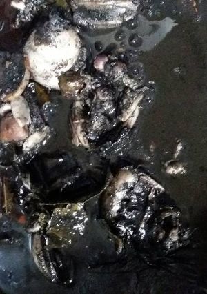 Foto resep Cumi sotong masak hitam simpel