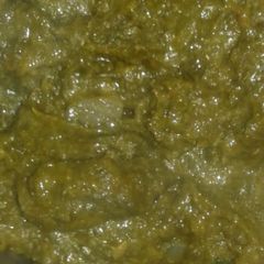 A picture of Palak Saag.