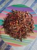 Sukri (suuk dan teri)