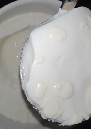 A picture of Yogurt.