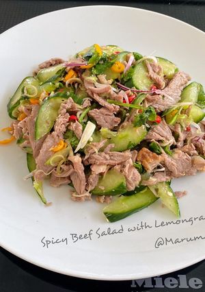 A picture of Spicy Beef Salad with Lemongrass.