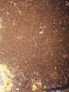 صورة لوصفة حلا العيدية سهلة وسريعة