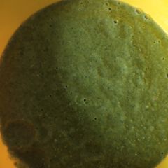 A picture of Coriander chutney.