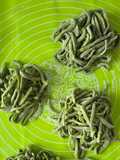Mie Kelor Homemade