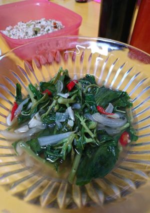 Foto resep Tumis Daun Ginseng