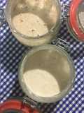 Fermento Levain