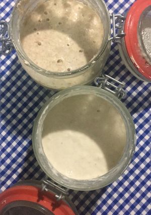Foto de Fermento Levain