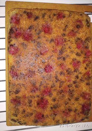 A picture of Coconut raspberry and chocolate cake.