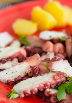 Hình của món Salad Bạch Tuộc Canary.