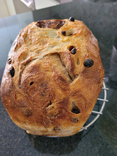 A picture of Sourdough Cinnamin Raisin soft bread.