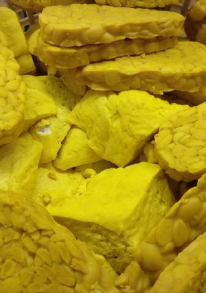 Foto resep Tahu Tempe ungkep kuning