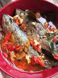 Masak tomat ikan katombo