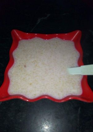 A picture of Daliya kheer.