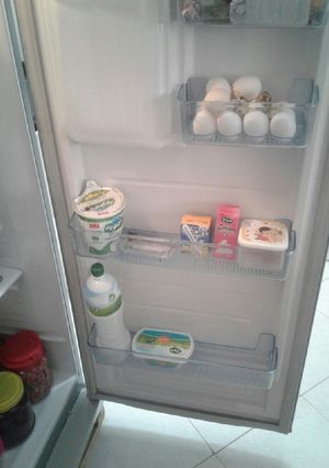 عکسی از دستور یخچال جونم
