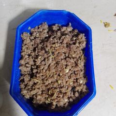A picture of Dum ka qeema.